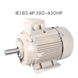 HASCON IE1.B3.4P.380-430HP มอเตอร์ รุ่น IE1 (แบบขาตั้ง) 430.0 แรงม้า (315.0kW.| 380V 4 POLE | Frame 355L2 | แกนเพลา 95 มม.)