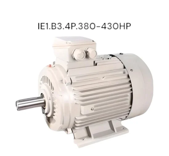 HASCON IE1.B3.4P.380-430HP มอเตอร์ รุ่น IE1 (แบบขาตั้ง) 430.0 แรงม้า (315.0kW.| 380V 4 POLE | Frame 355L2 | แกนเพลา 95 มม.)